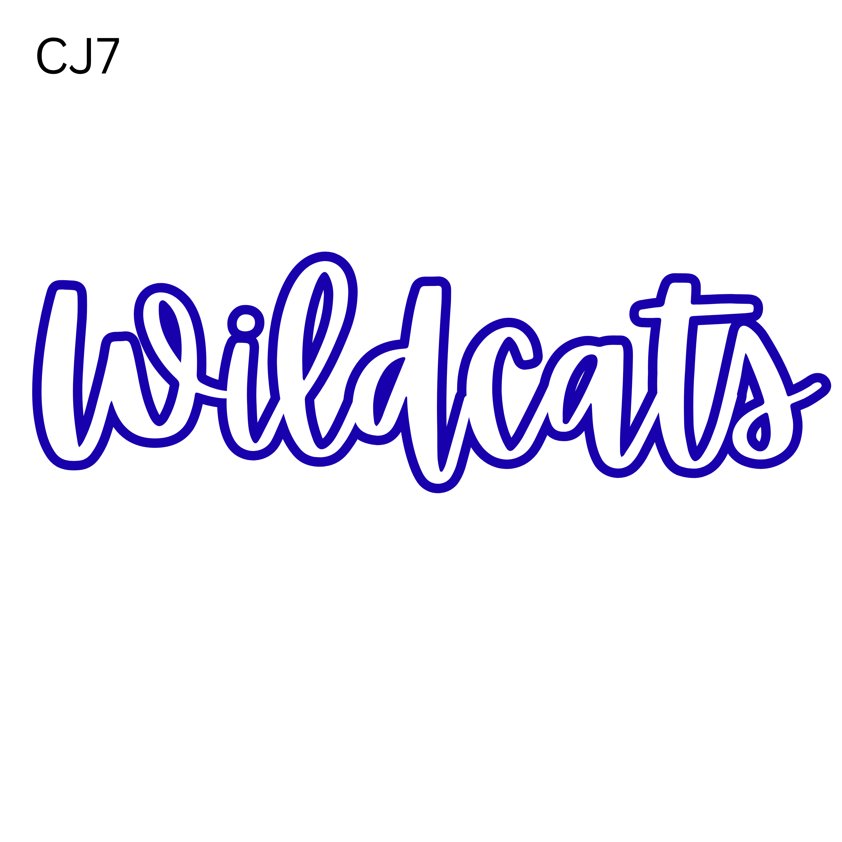 CJ7-Wildcats White Letters